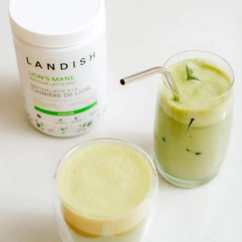 Landish Review 6 Landish Lion’s Mane Matcha Latte Mix Review