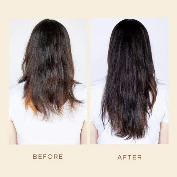 Vegamour Before and After Real Results or Hype? Must Read This