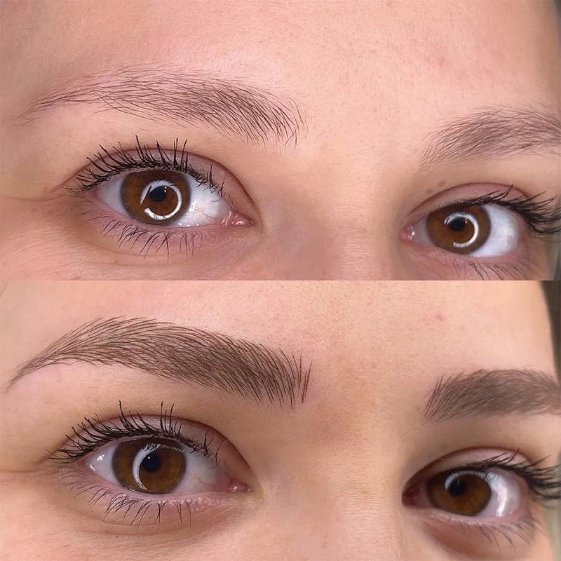 Microblading Before and After: Transforming Your Brows with Precision and Artistry