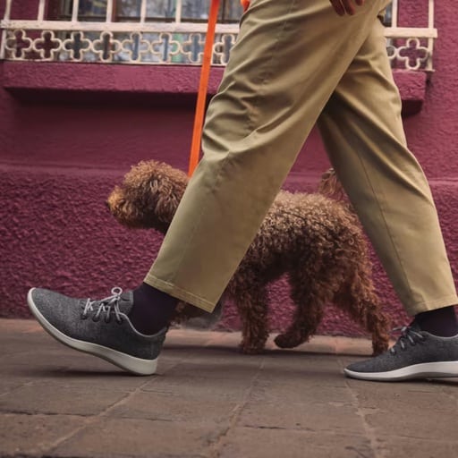 Allbirds Canada Review 4 Allbirds Canada Review