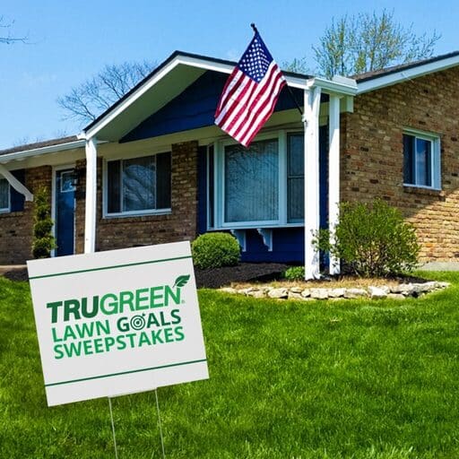 10 Best Organic Lawn Care Services 11 Best Organic Lawn Care Services