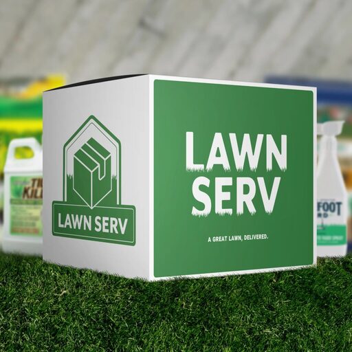 Best Organic Lawn Care Services