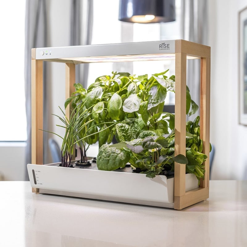 Best Indoor Growing Systems