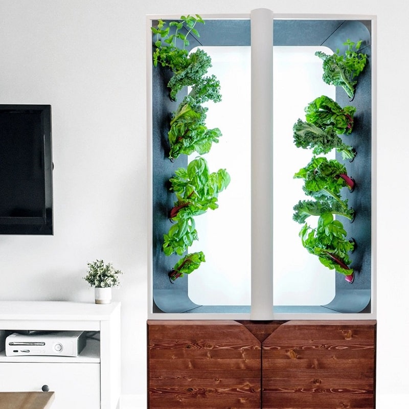 Best Indoor Growing Systems