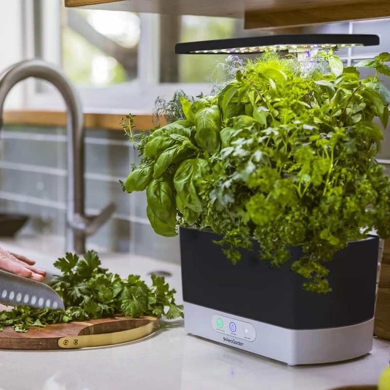 Best Indoor Growing Systems