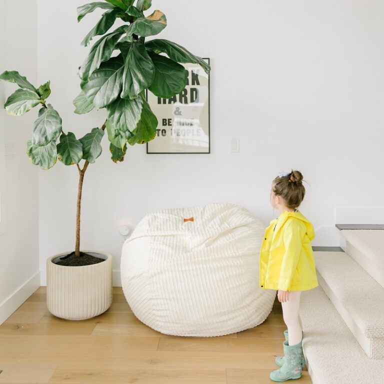 CordaRoy's Review A Comprehensive Look at the Popular Convertible Bean