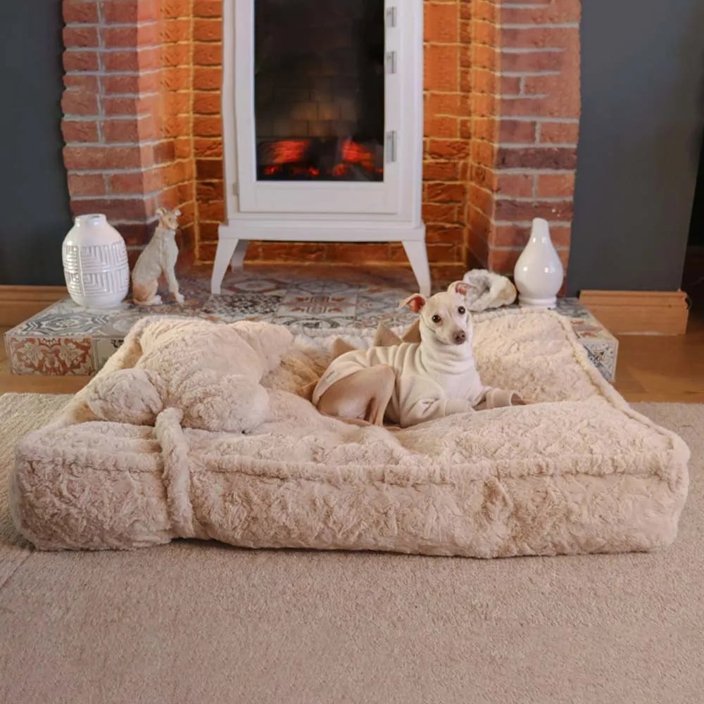 FunnyFuzzy Warming Fluffy Bone Cloud Shape Claiming Dog Bed Review