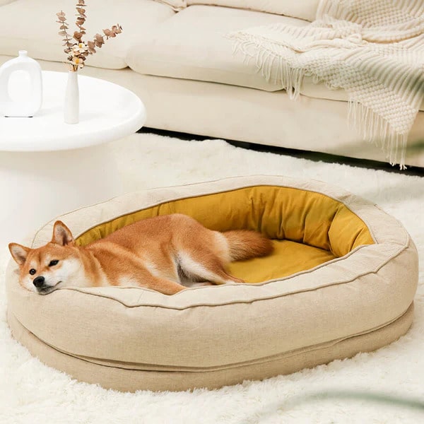 FunnyFuzzy Dog Bed - Donut Review