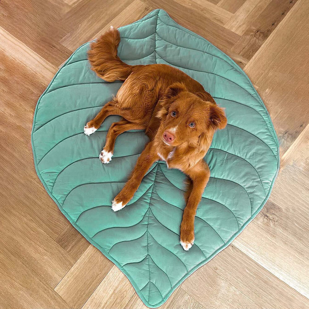 FunnyFuzzy Leaf Shape Dog Blanket Review