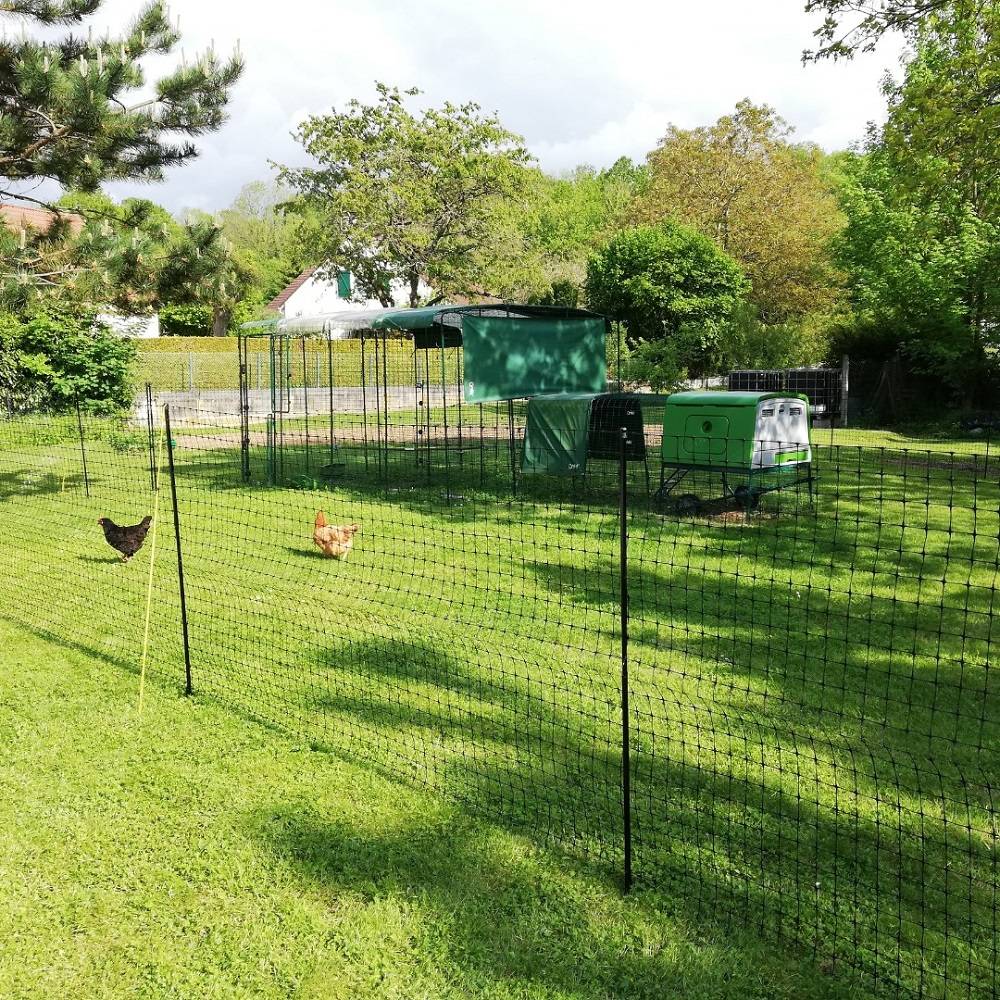 Omlet Eglu Chicken Coops Review