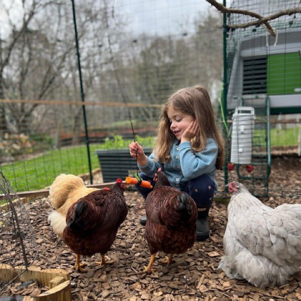 Omlet Eglu Chicken Coops Review