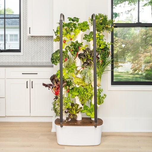 10 Best Indoor Growing Systems 3 10 Best Indoor Growing Systems 2