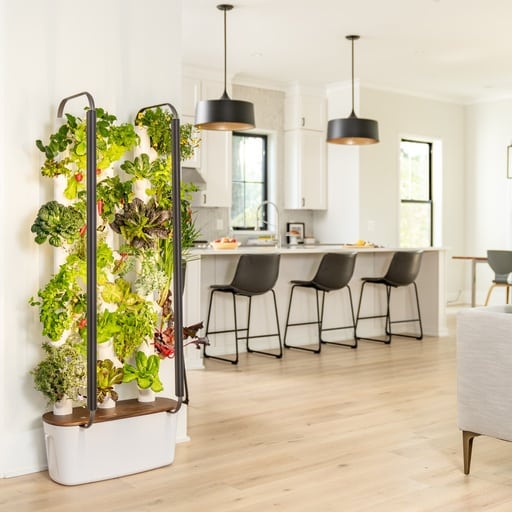 10 Best Indoor Growing Systems 2 10 Best Indoor Growing Systems 1