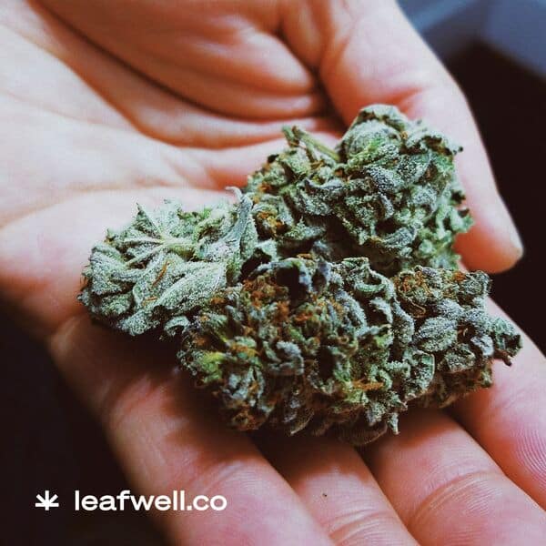 Leafwell Review