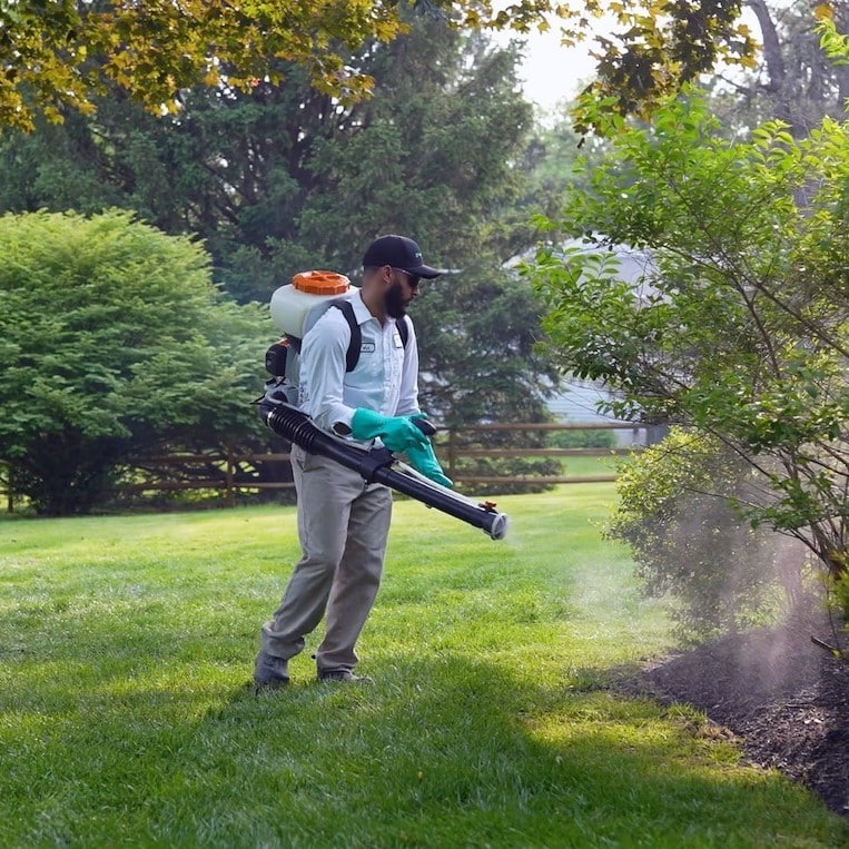 Green Lawn Fertilizing Review