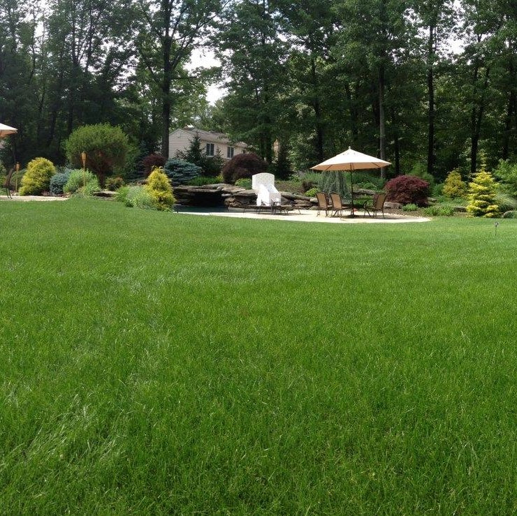 Lawn Doctor Review Must Read This Before Buying