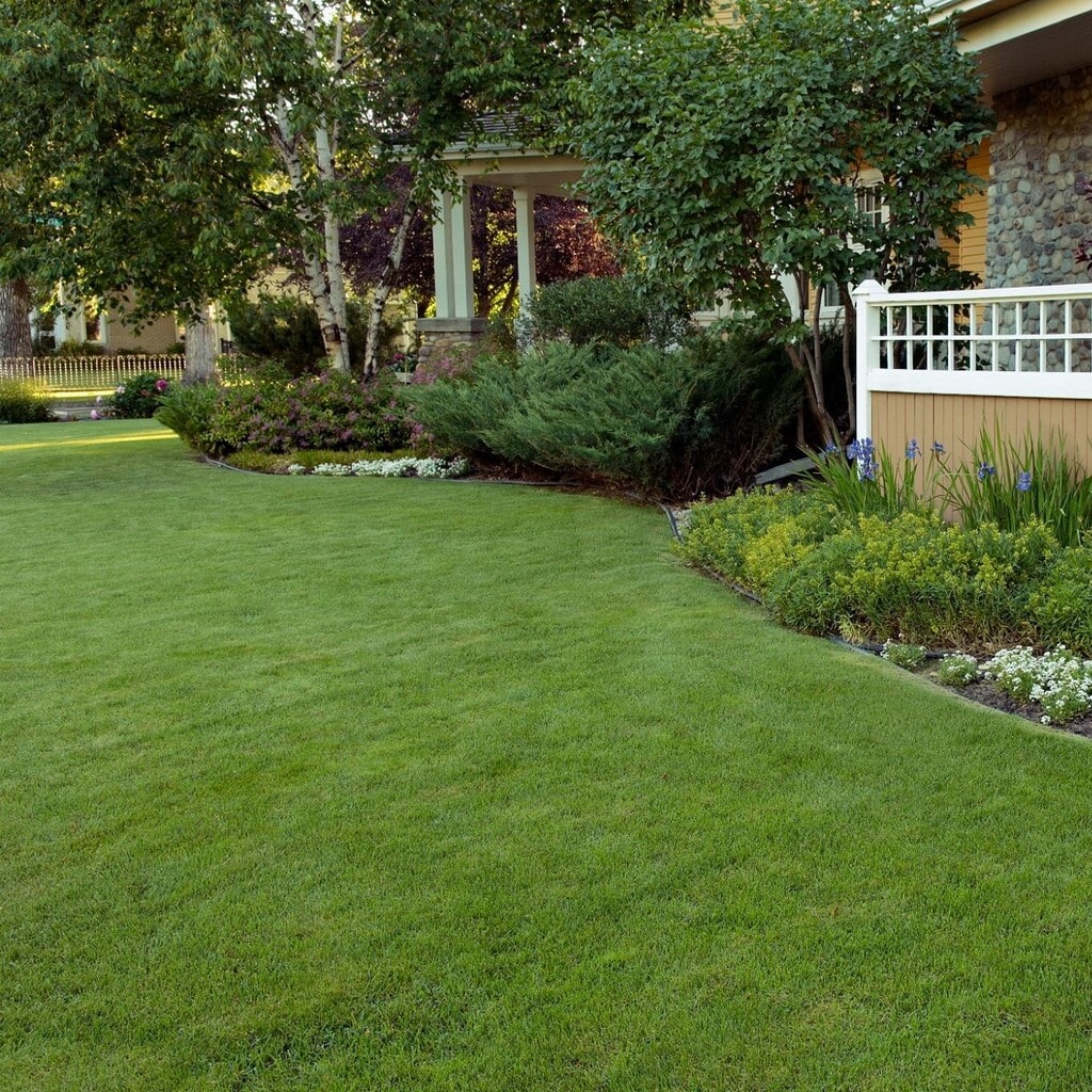 Lawn Doctor Review Must Read This Before Buying