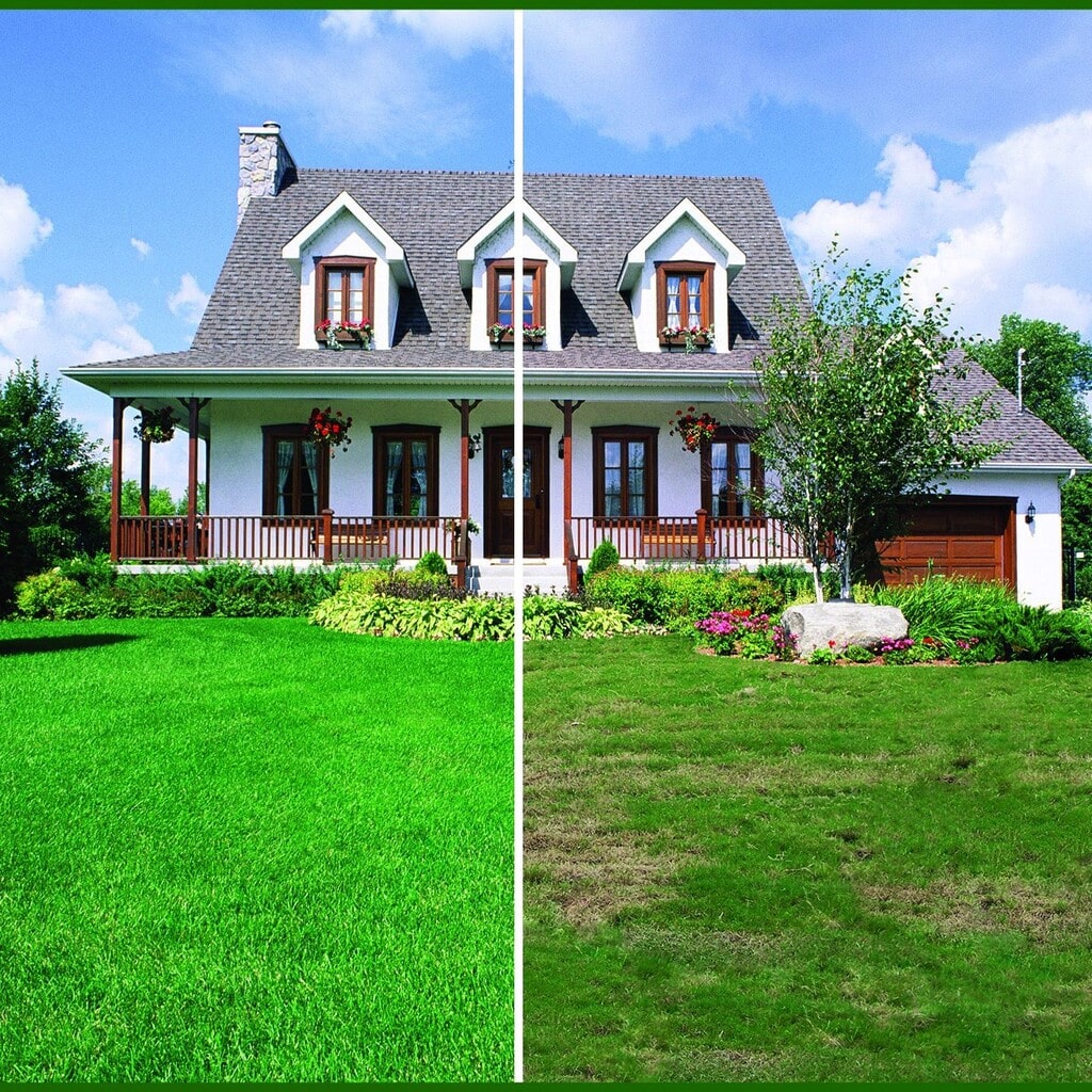 Lawn Doctor Review Must Read This Before Buying