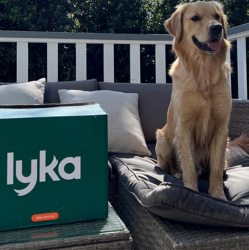 Lyka Pet Food Review