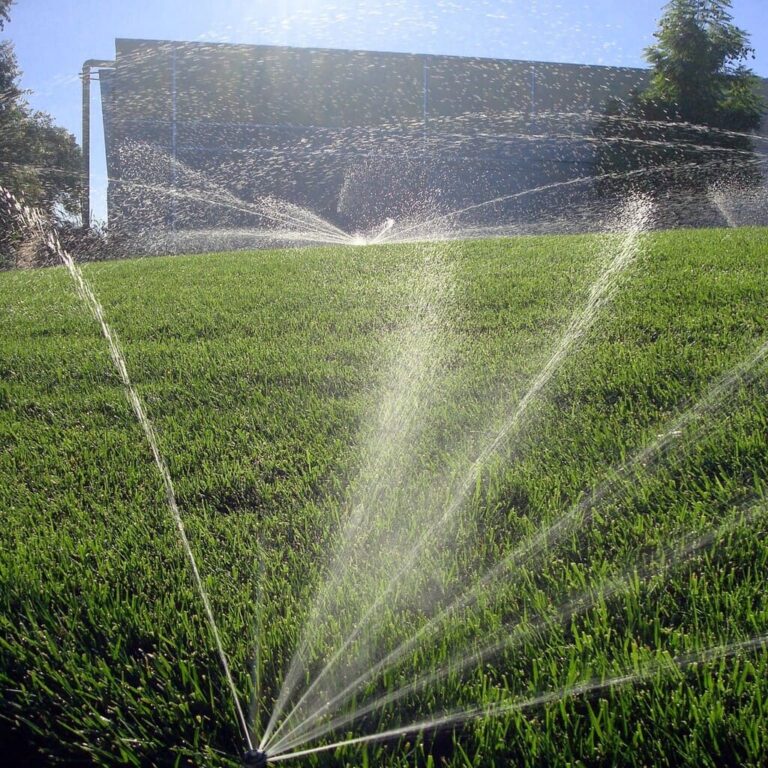 Spring Green Review Must Read This Before Buying