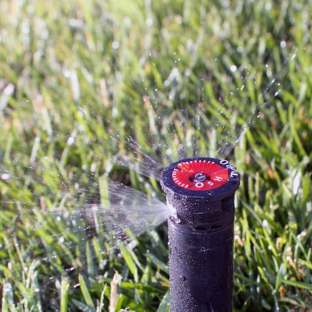 Spring Green Review 6 Spring Green Review