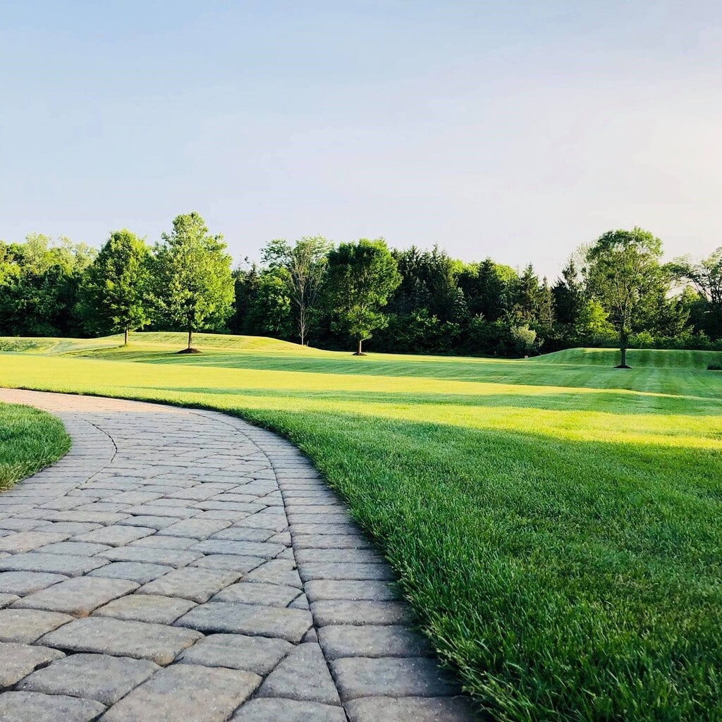 TruGreen Review 13 TruGreen Review