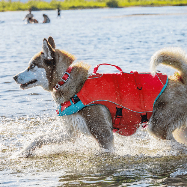 Kurgo Surf N Turf Dog Life Jacket Review