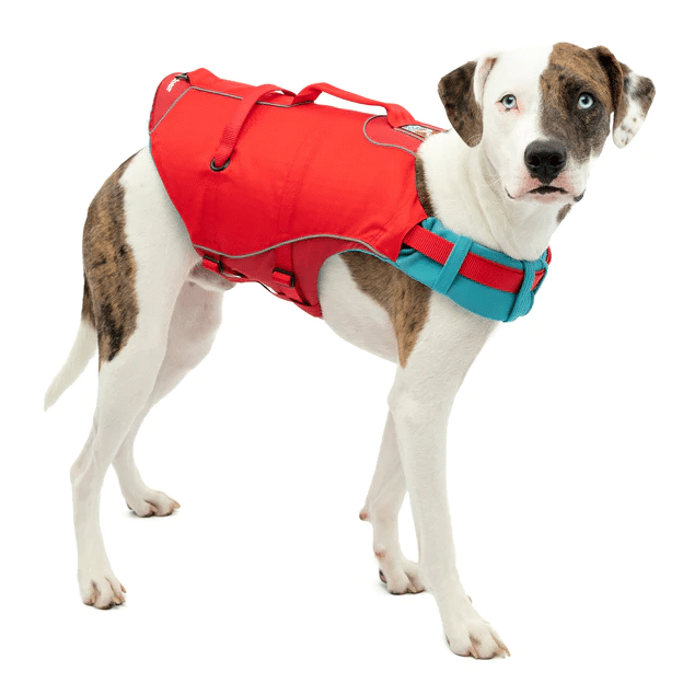 Kurgo Surf N Turf Dog Life Jacket Review