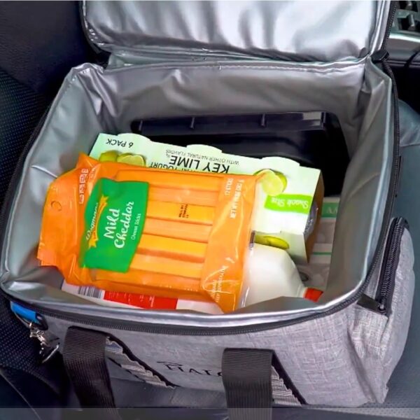 10 Best Cooler Bags Must Read This Before Buying