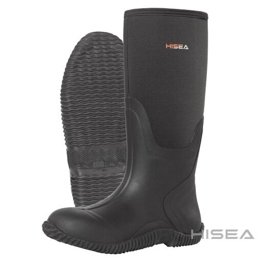 HISEA Review 2 HISEA Review
