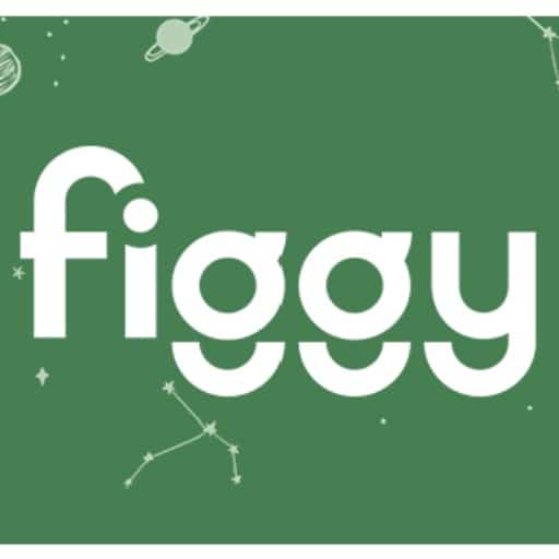 Figgy Play Couch Review