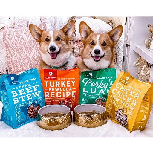 10 Best Human-Grade Dog Food Brands 1