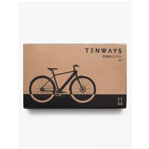 TENWAYS CGO600 Pro E-Bike Review
