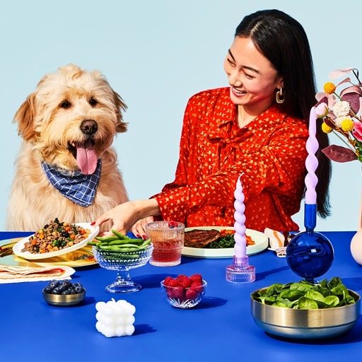The Pets Table Review