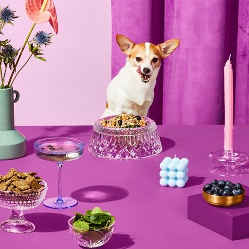 The Pets Table Review