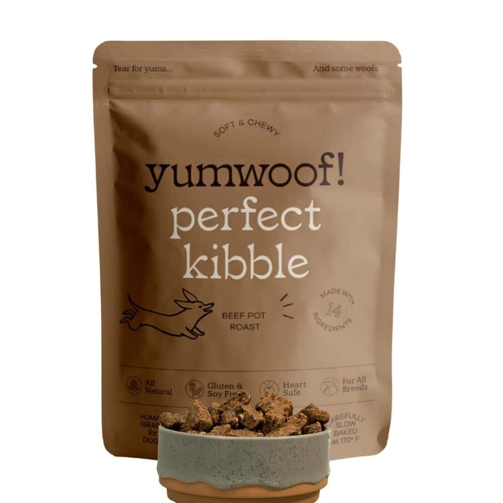 Best Air-Dried Dog Food