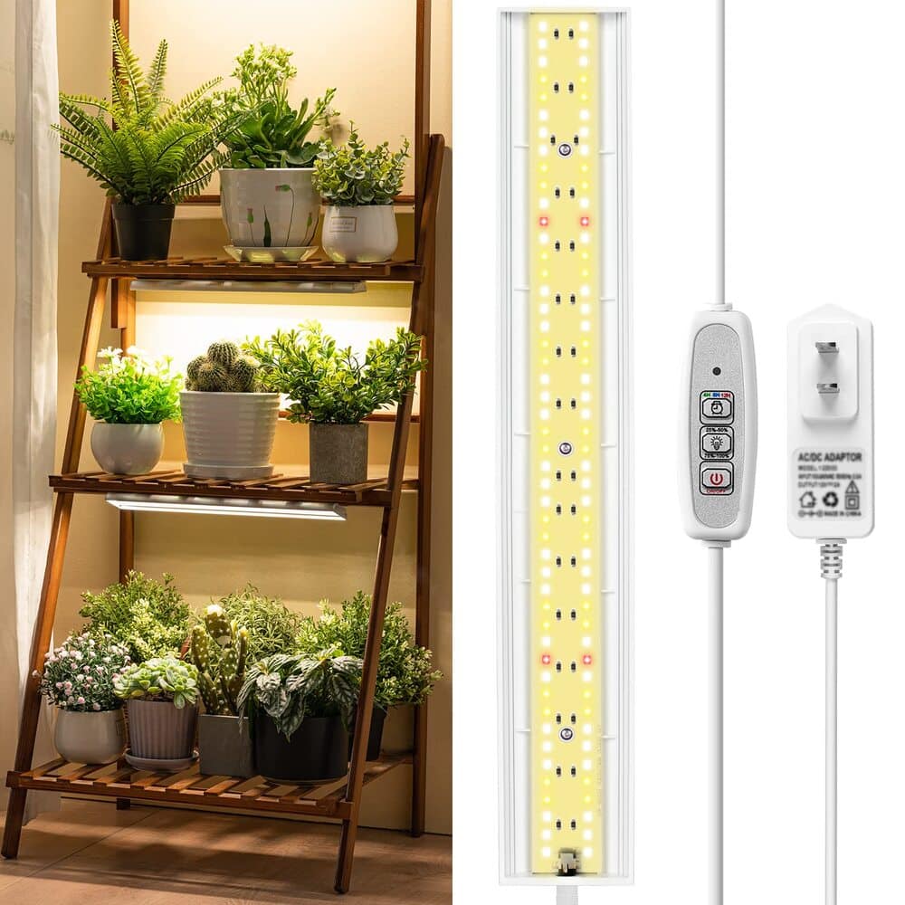Best Grow Lights for Indoor Plants