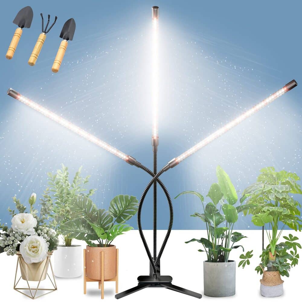 Best Grow Lights for Indoor Plants