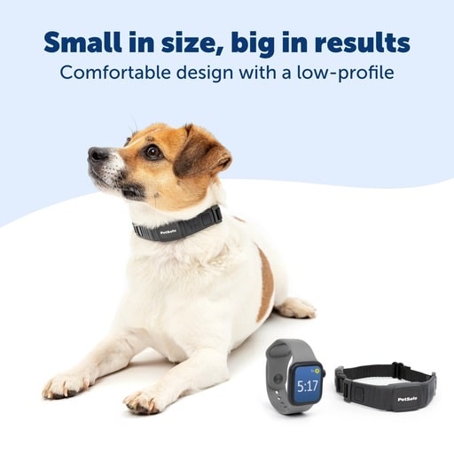PetSafe® NanoBark™ Collar Review