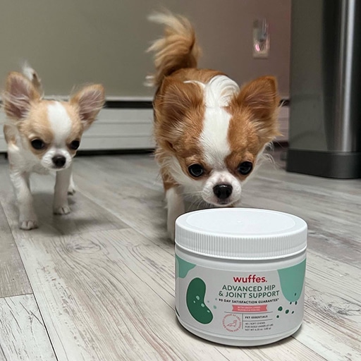 Wuffes Review: An In-Depth Look at the Popular Dog Joint Supplement Company