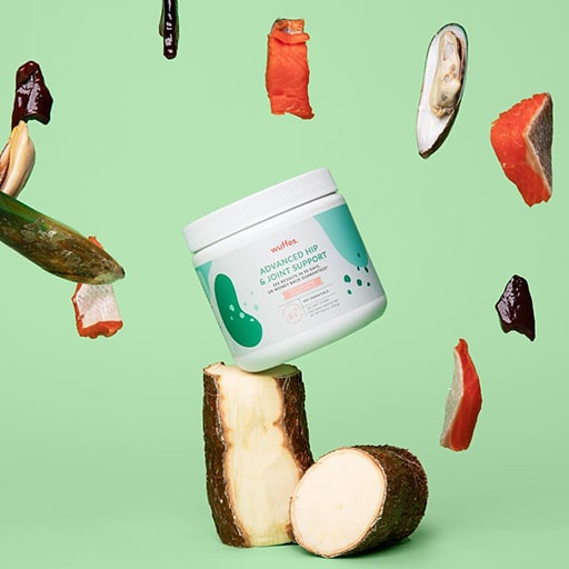 Wuffes Review An InDepth Look at the Popular Dog Joint Supplement