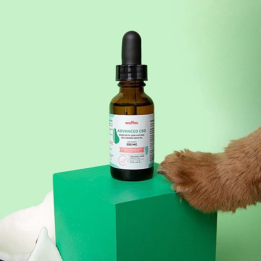 Wuffes Review An InDepth Look at the Popular Dog Joint Supplement