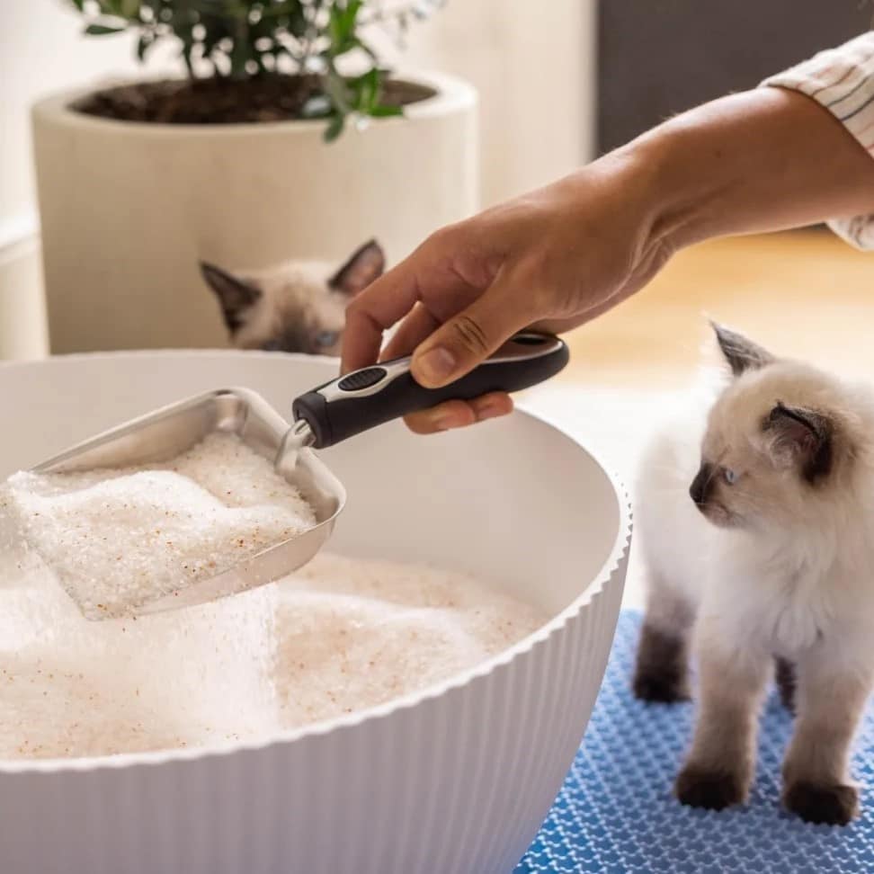 Gifts for Cat Lovers