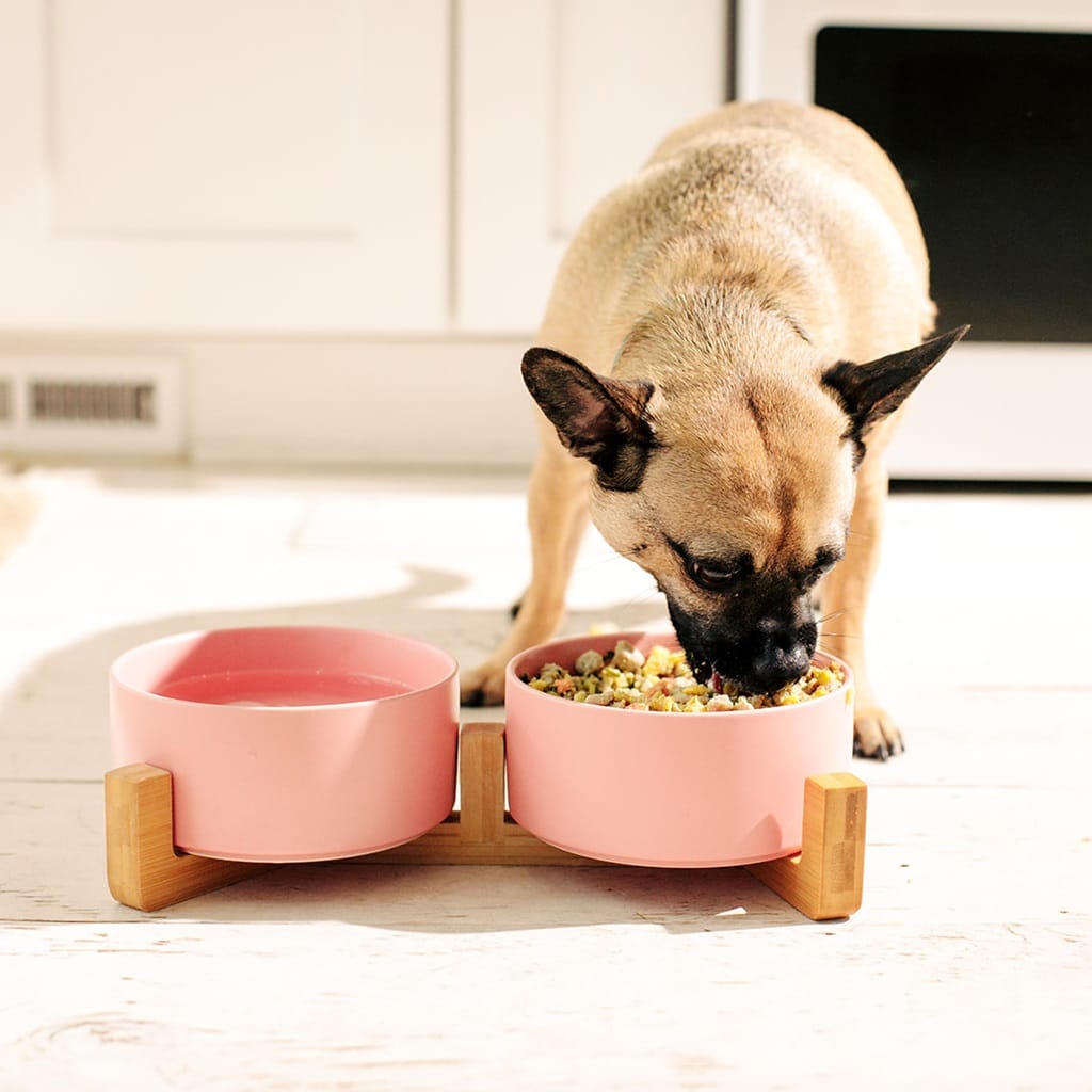 Nom Nom Pet Food Review