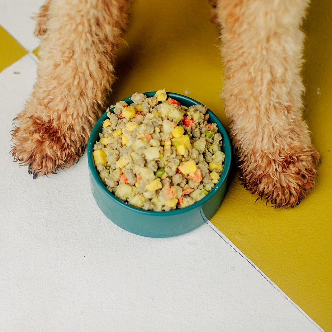 Nom Nom Pet Food Review Must Read This Before Buying