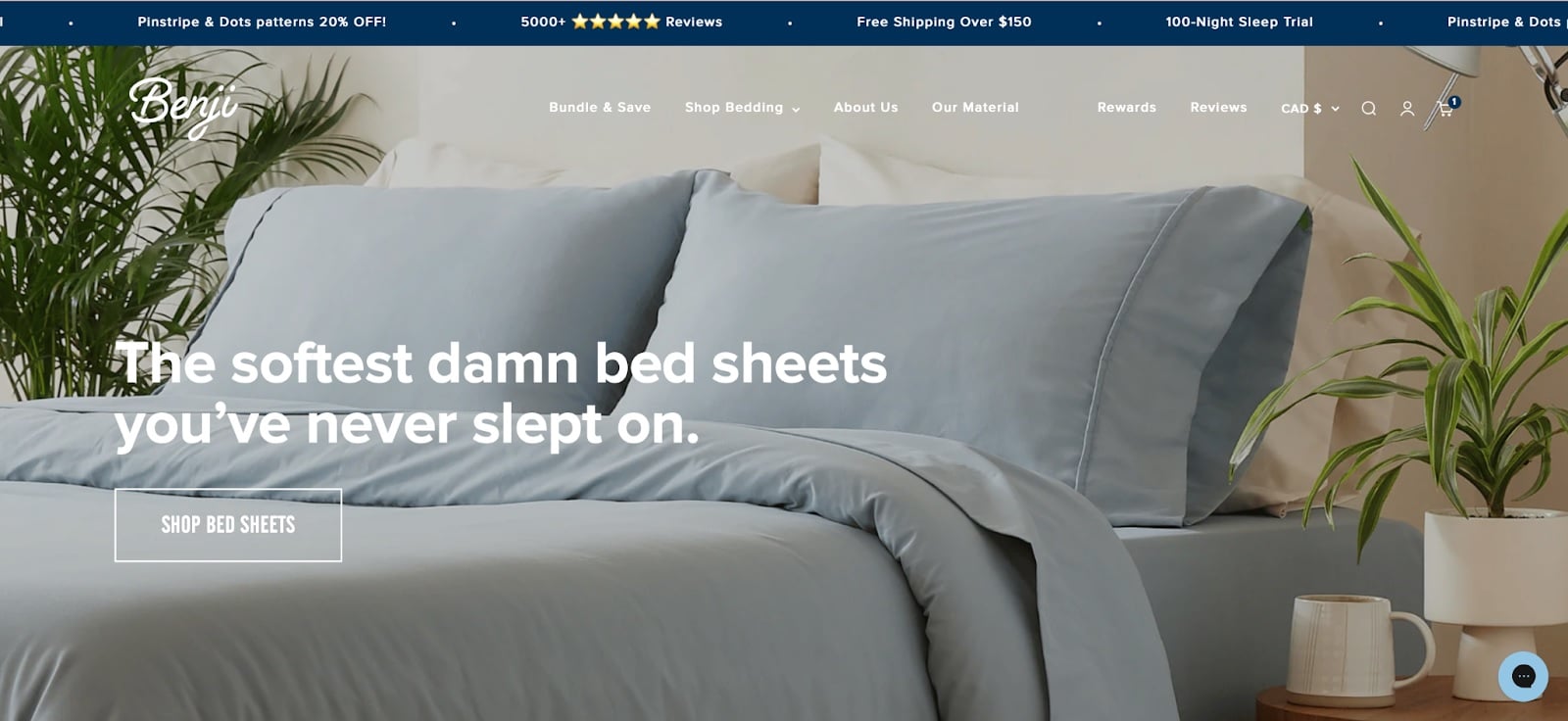 Benji Sleep Review A Comprehensive Look At The Favorite