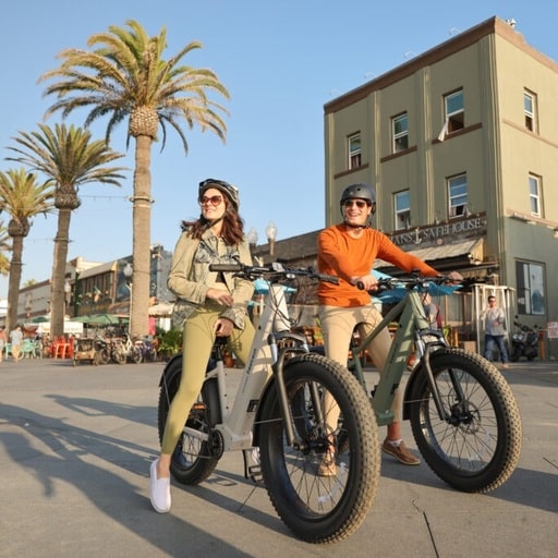 freebeat MorphRover 2-in-1 E-Bike Review 1