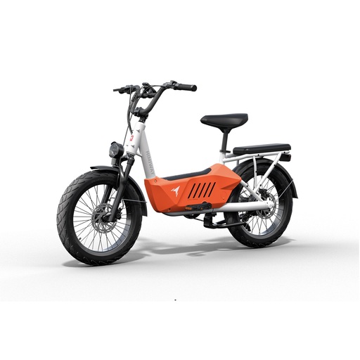 Himiway C3 E-Bike