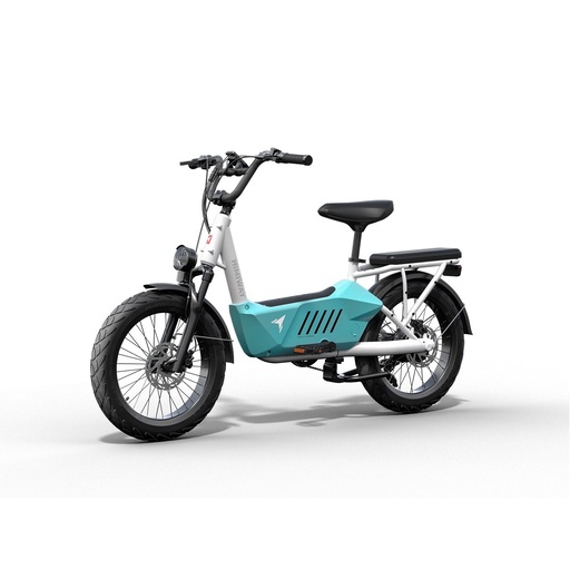 Himiway C3 E-Bike