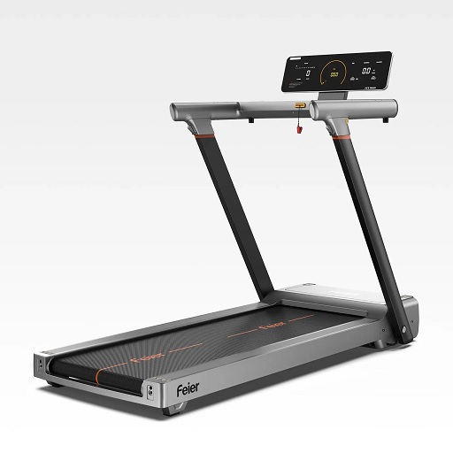 FEIER Fitness Review